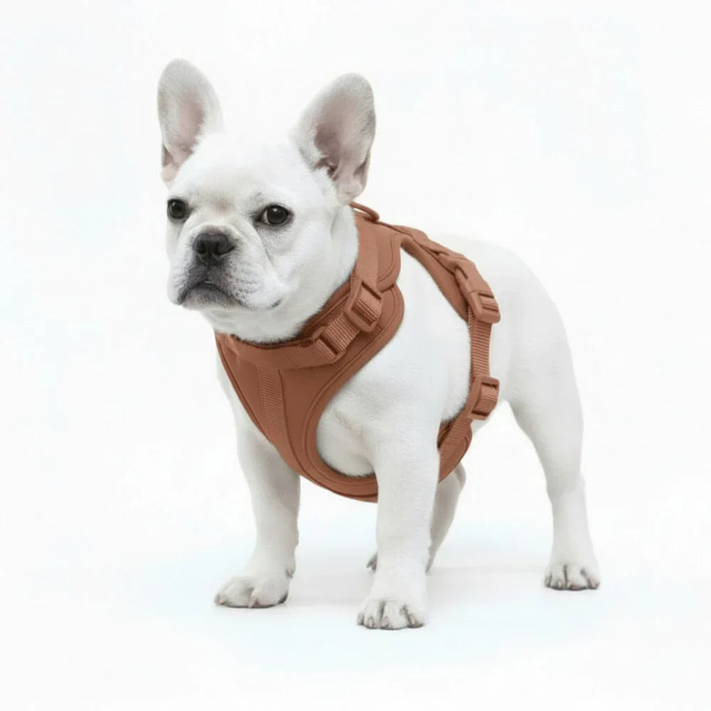Comfort Fit Dog Harness with Breathable Mesh and Durable Nylon