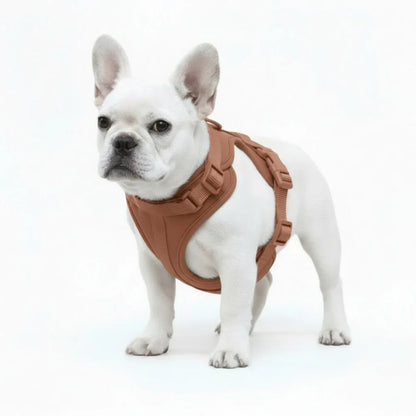 Comfort Fit Dog Harness with Breathable Mesh and Durable Nylon