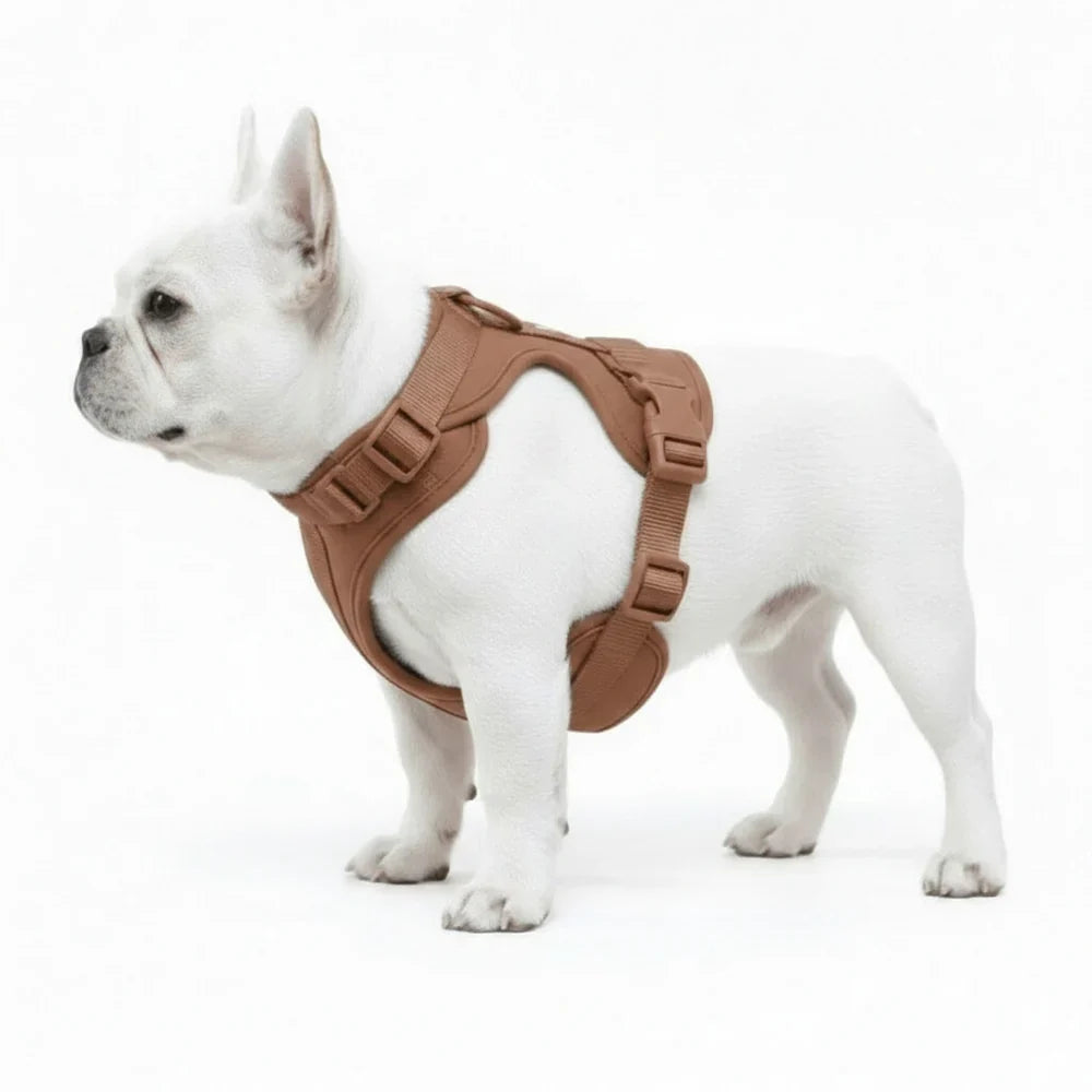 Comfort Fit Dog Harness with Breathable Mesh and Durable Nylon