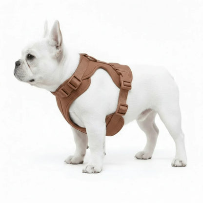 Comfort Fit Dog Harness with Breathable Mesh and Durable Nylon