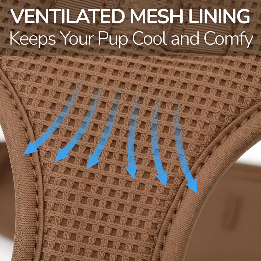Comfort Fit Dog Harness with Breathable Mesh and Durable Nylon