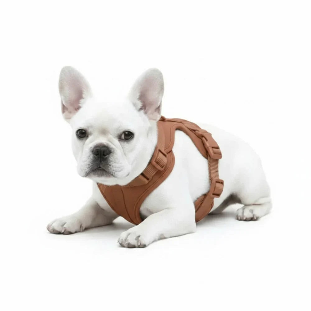 Comfort Fit Dog Harness with Breathable Mesh and Durable Nylon