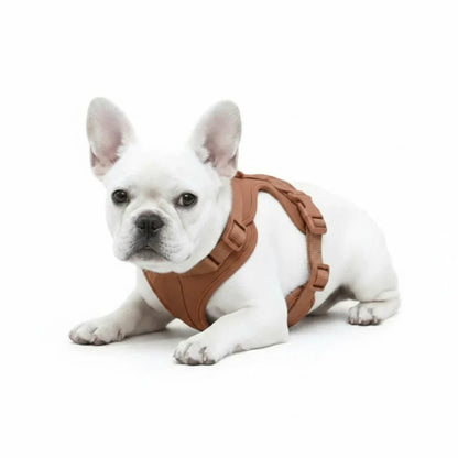 Comfort Fit Dog Harness with Breathable Mesh and Durable Nylon