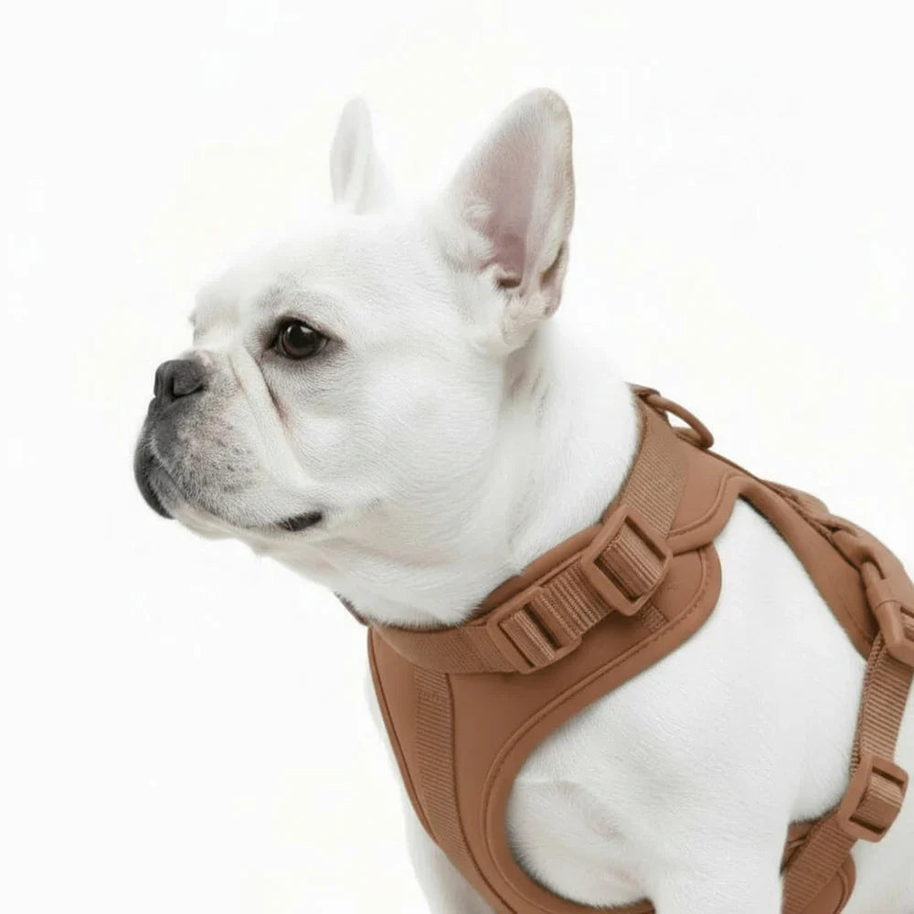 Comfort Fit Dog Harness with Breathable Mesh and Durable Nylon