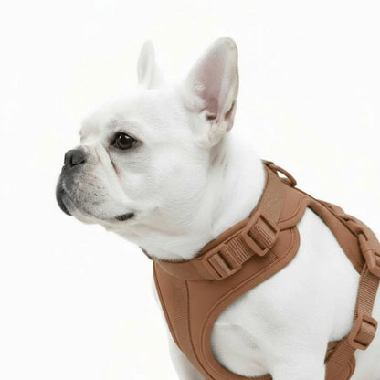 Comfort Fit Dog Harness with Breathable Mesh and Durable Nylon