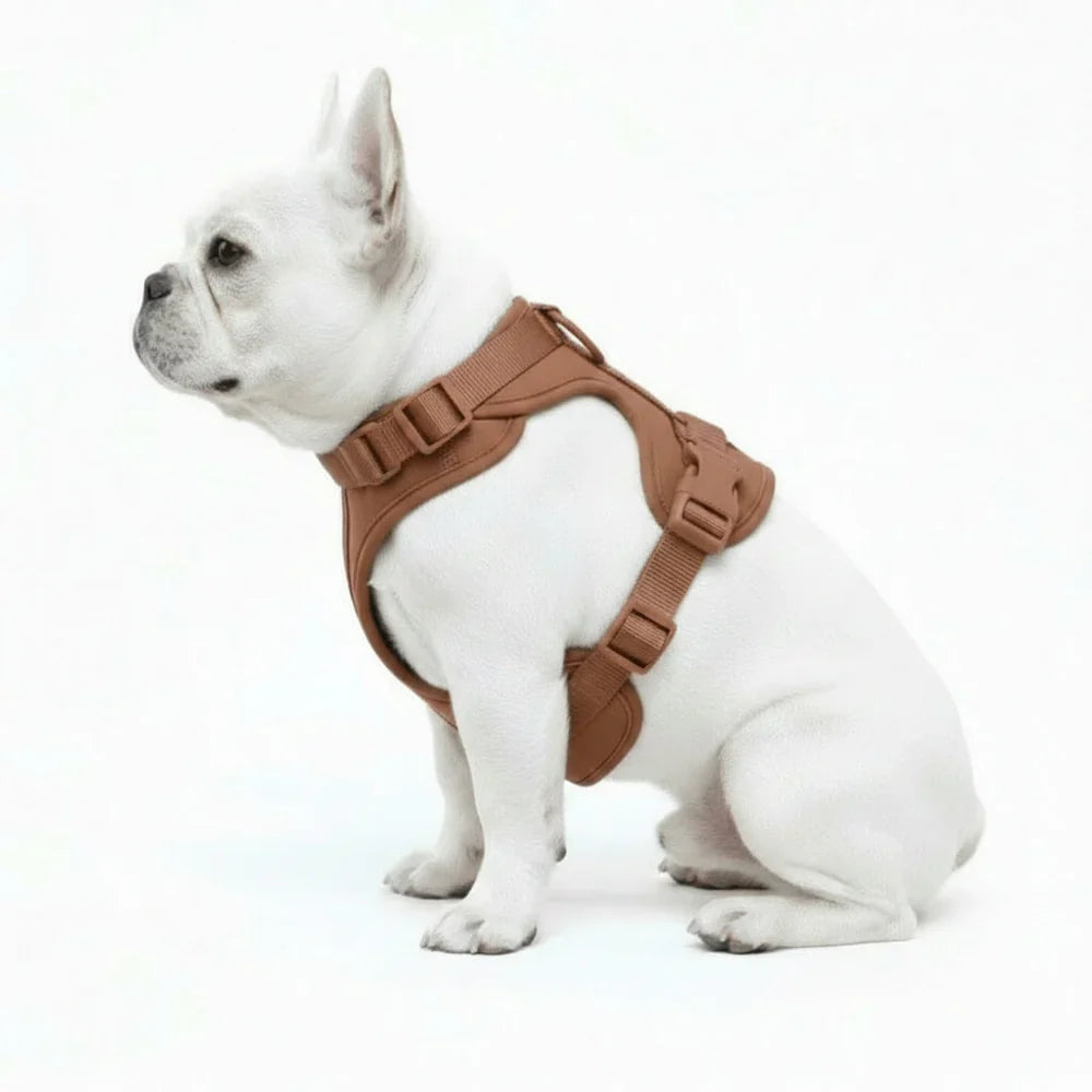 Comfort Fit Dog Harness with Breathable Mesh and Durable Nylon