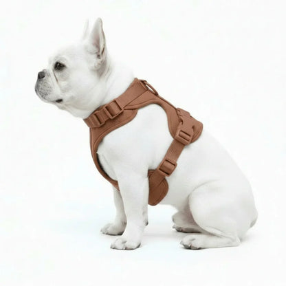 Comfort Fit Dog Harness with Breathable Mesh and Durable Nylon