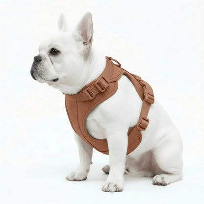 Comfort Fit Dog Harness with Breathable Mesh and Durable Nylon