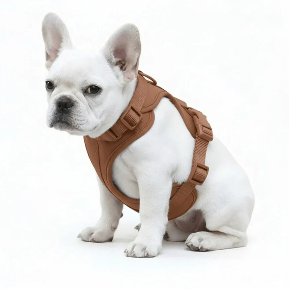 Comfort Fit Dog Harness with Breathable Mesh and Durable Nylon