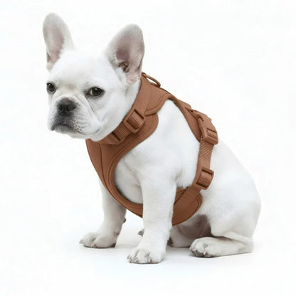 Comfort Fit Dog Harness with Breathable Mesh and Durable Nylon