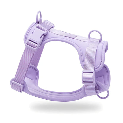 Comfort Fit Dog Harness with Breathable Mesh and Durable Nylon
