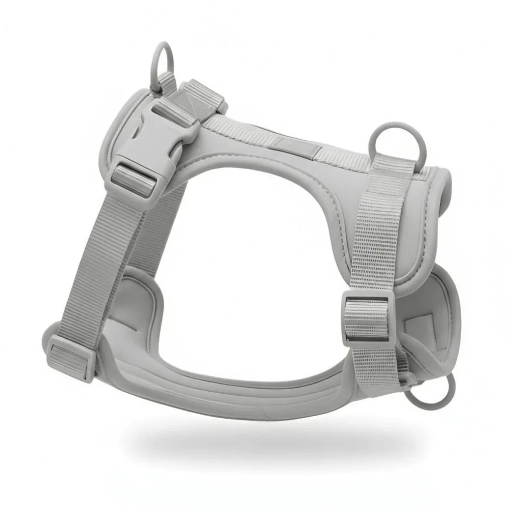 Comfort Fit Dog Harness with Breathable Mesh and Durable Nylon