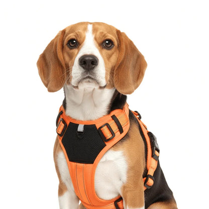 Comfort Fit Dog Harness with Reflective Safety Strips