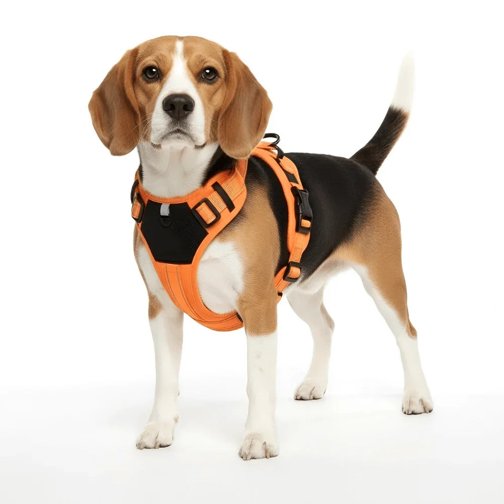 Comfort Fit Dog Harness with Reflective Safety Strips