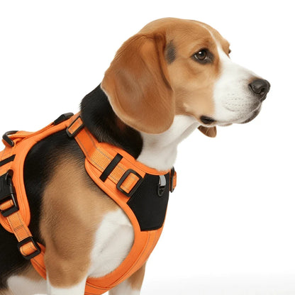 Comfort Fit Dog Harness with Reflective Safety Strips