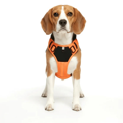 Comfort Fit Dog Harness with Reflective Safety Strips