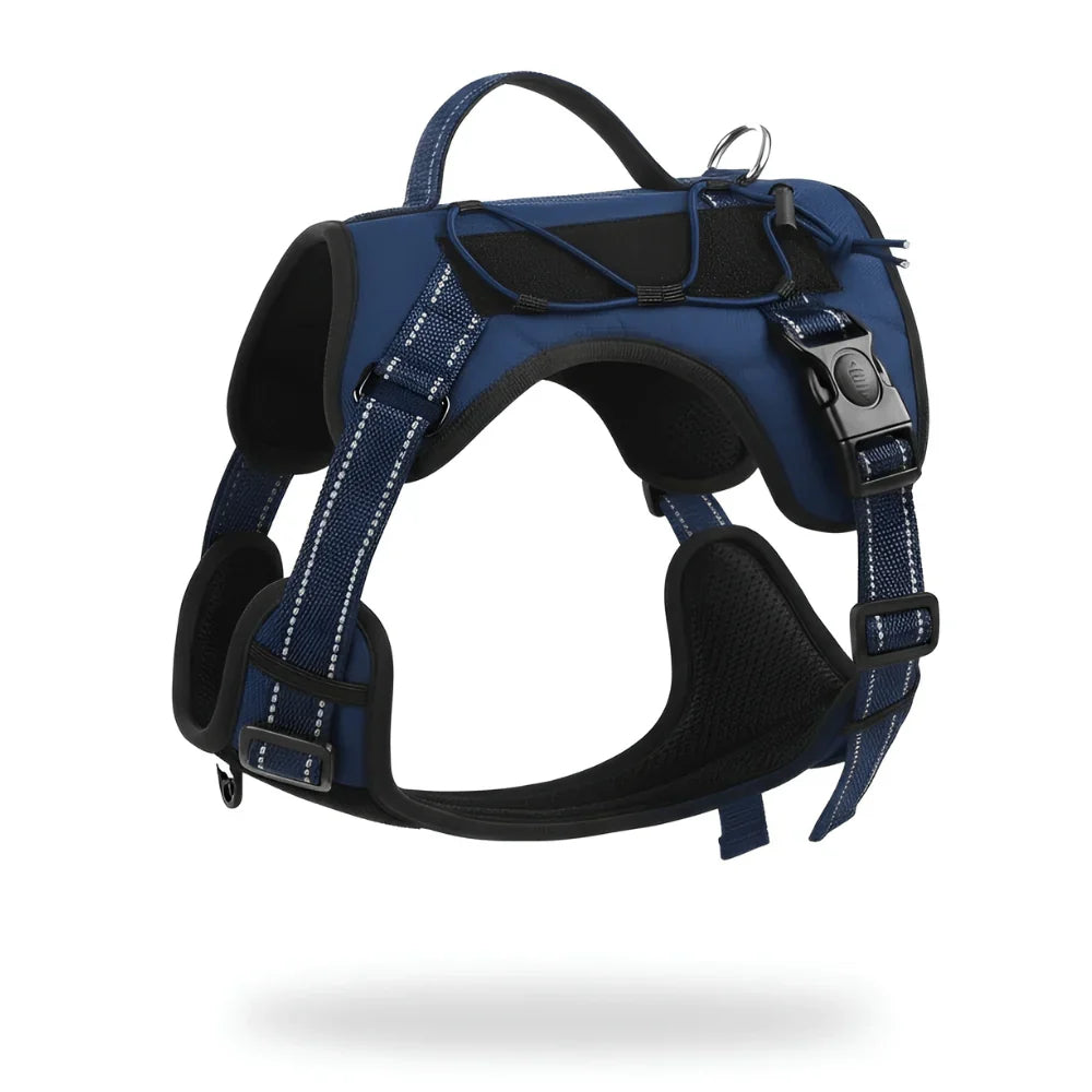 Comfort Fit Dog Harness with Reflective Safety Strips