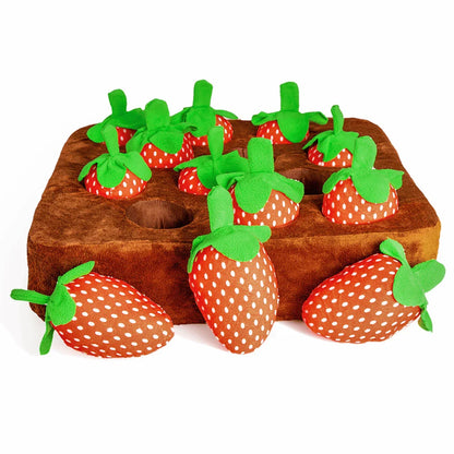 Interactive Pet Treasure Mat for Engaging Treat Hunts