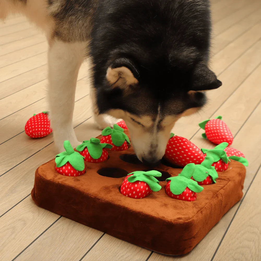 Interactive Pet Treasure Mat for Engaging Treat Hunts