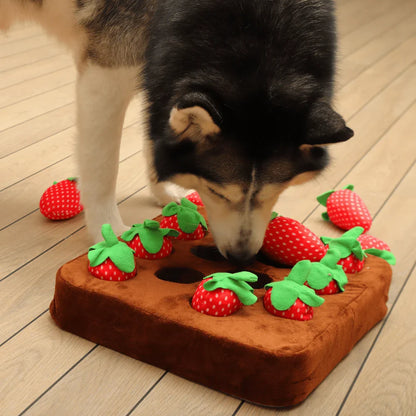Interactive Pet Treasure Mat for Engaging Treat Hunts
