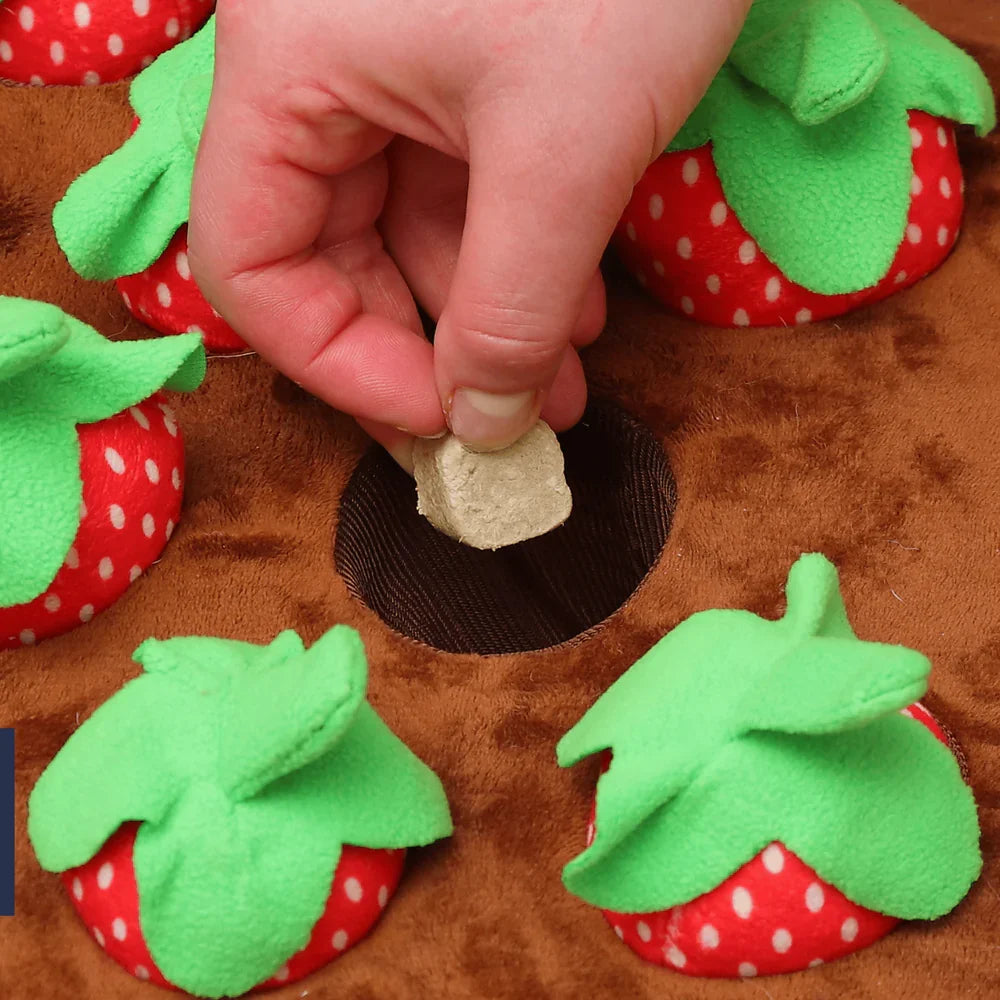 Interactive Pet Treasure Mat for Engaging Treat Hunts