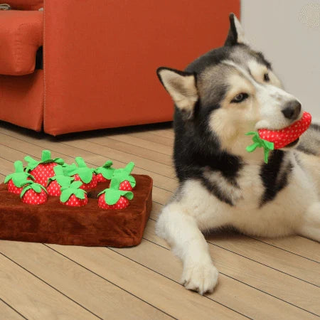 Interactive Pet Treasure Mat for Engaging Treat Hunts