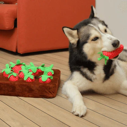 Interactive Pet Treasure Mat for Engaging Treat Hunts