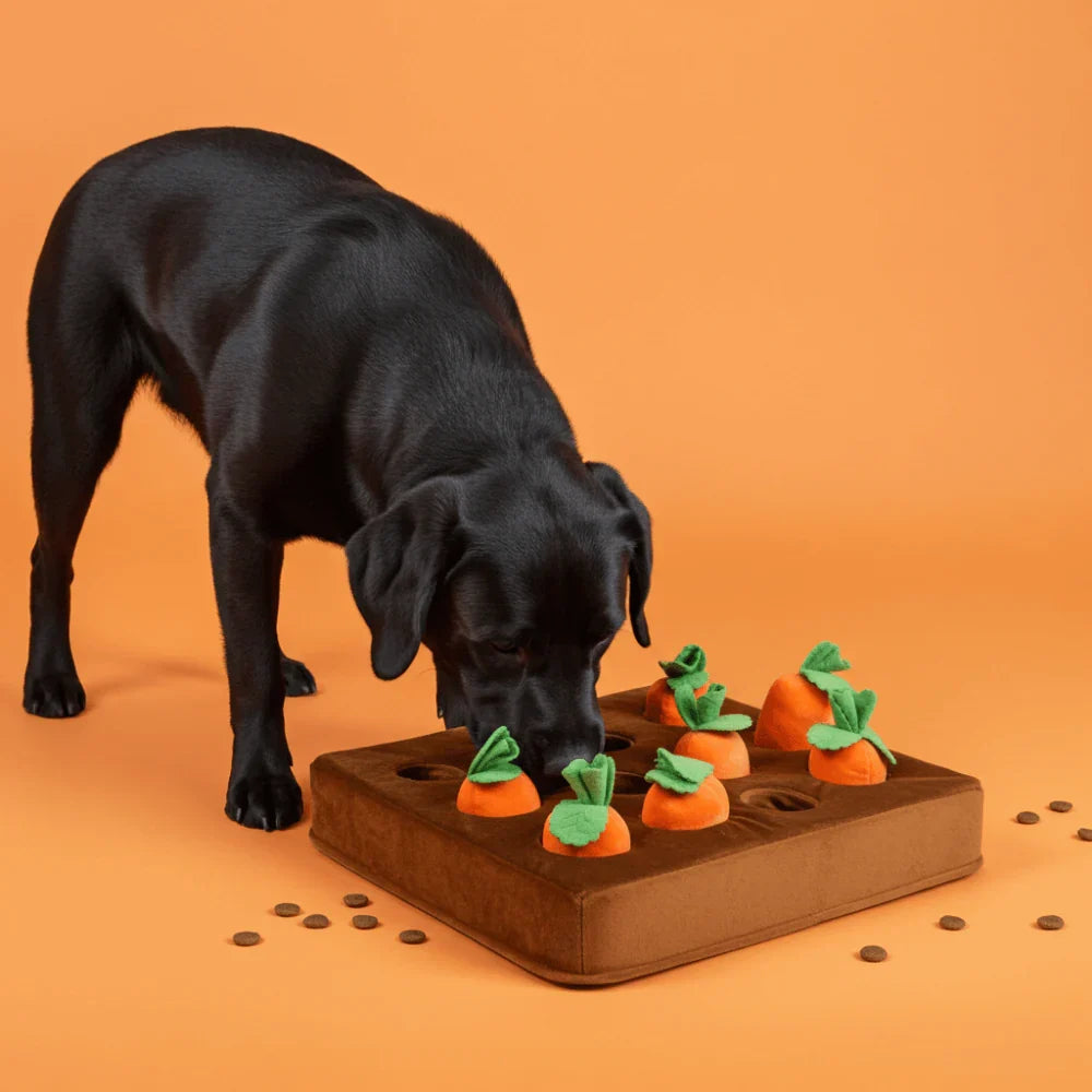 Treat Seeker Interactive Mat with Non-Slip Base and Washable Cover