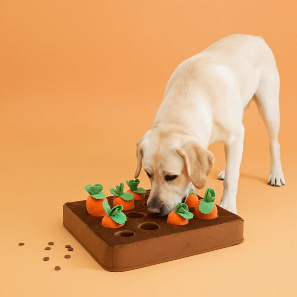Treat Seeker Interactive Mat with Non-Slip Base and Washable Cover