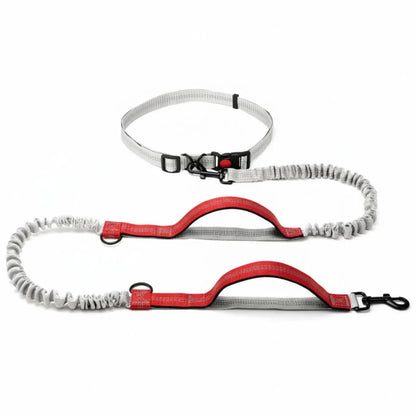 Hands-Free Dog Leash with Adjustable Belt and Reflective Accents
