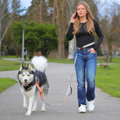 Hands-Free Dog Leash with Adjustable Belt and Reflective Accents