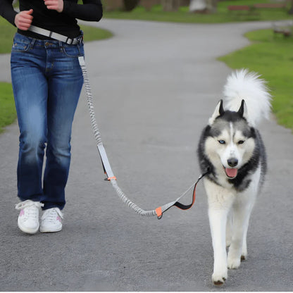 Hands-Free Dog Leash with Adjustable Belt and Reflective Accents