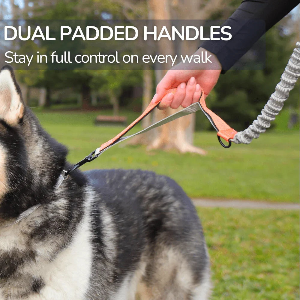 Hands-Free Dog Leash with Adjustable Belt and Reflective Accents