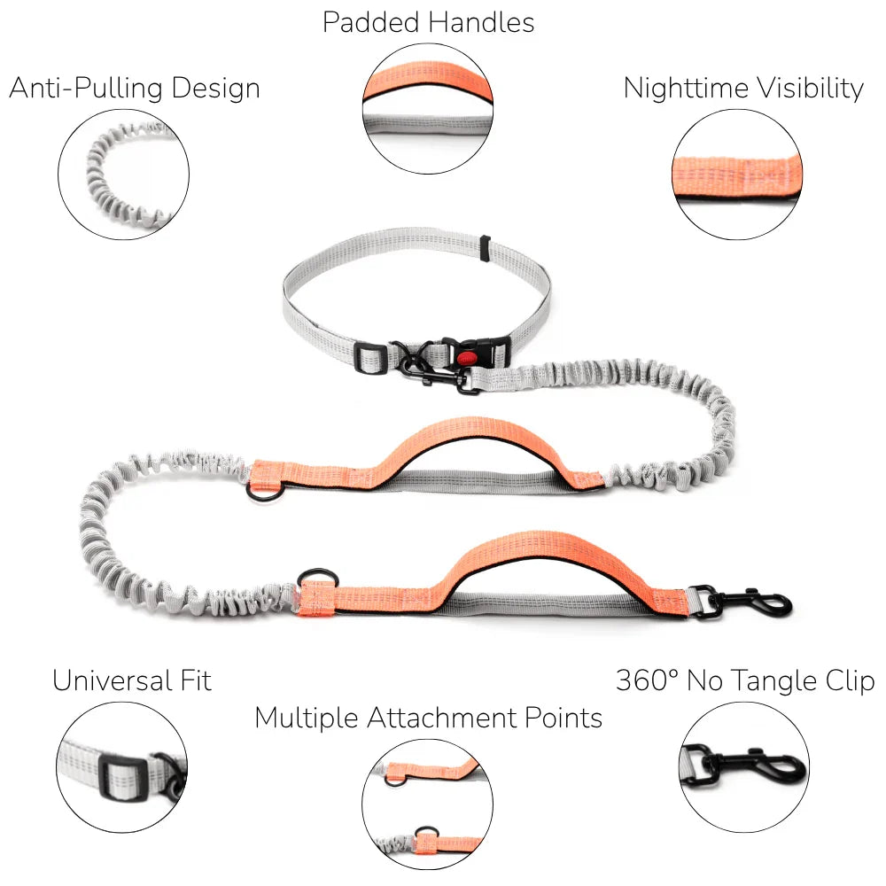 Hands-Free Dog Leash with Adjustable Belt and Reflective Accents
