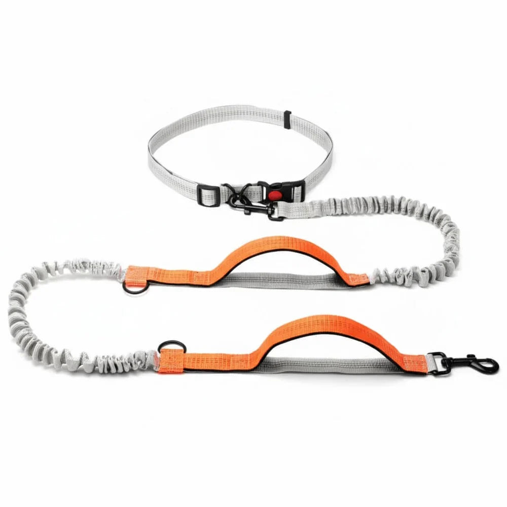 Hands-Free Dog Leash with Adjustable Belt and Reflective Accents