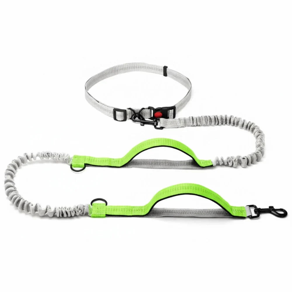 Hands-Free Dog Leash with Adjustable Belt and Reflective Accents