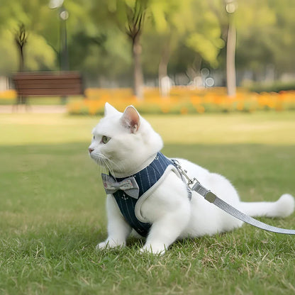 Comfortable Cat Harness and Leash Duo for Outdoor Adventures