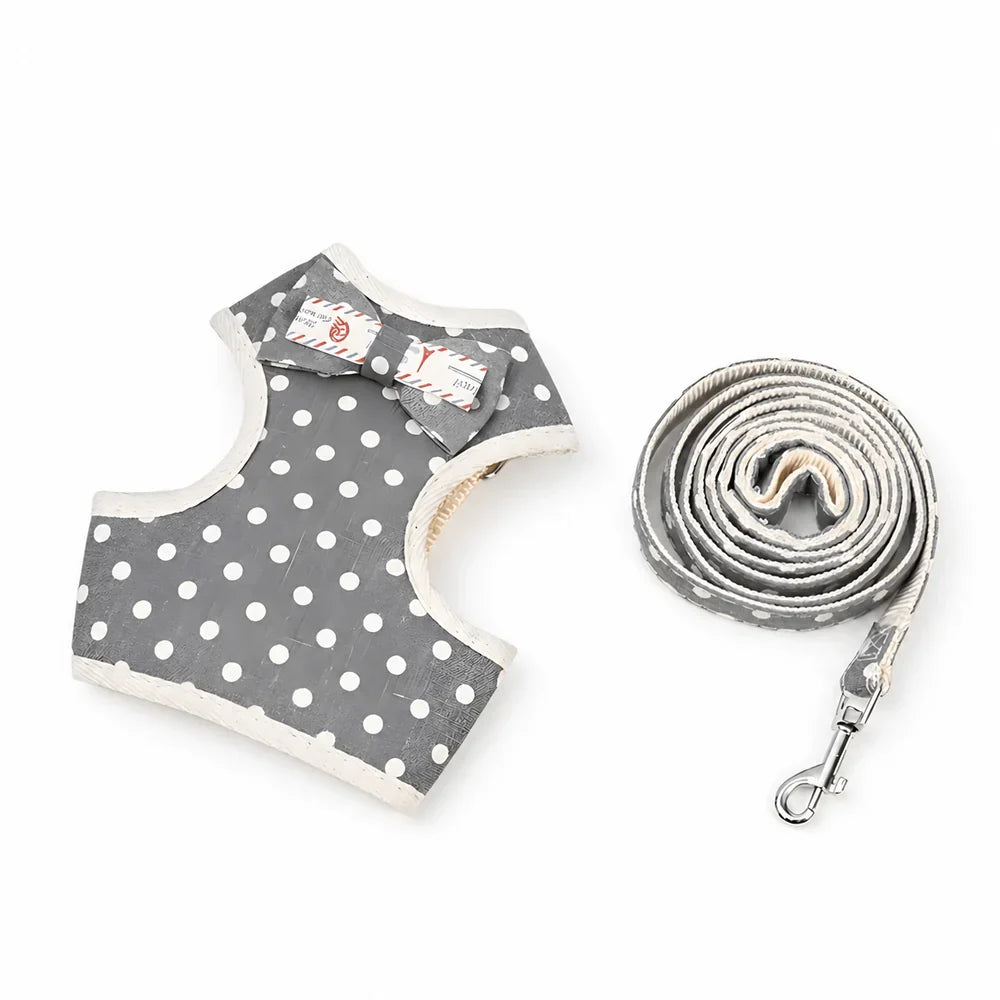 Comfortable Cat Harness and Leash Duo for Outdoor Adventures