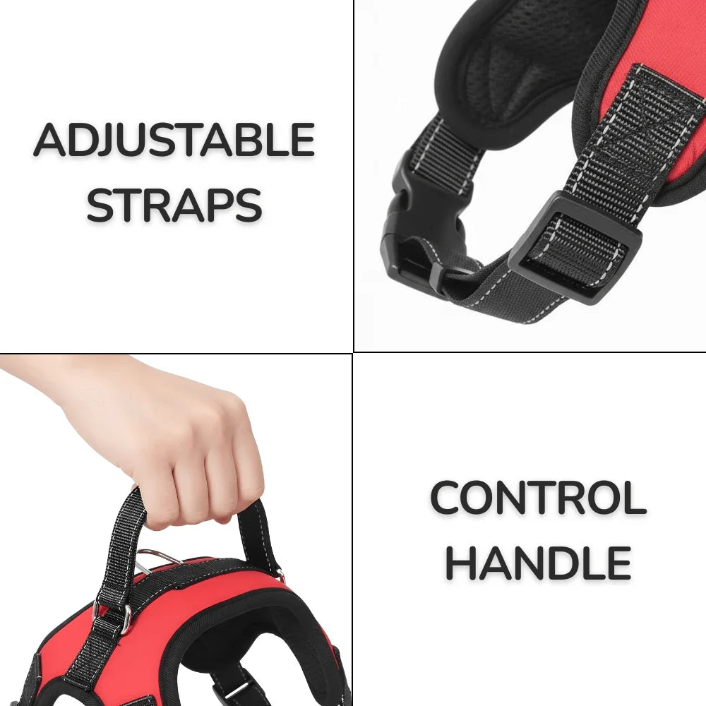 Reflective Mesh Dog Harness with Control Handle