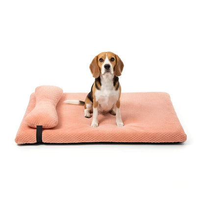 Cozy Dog Bed with Elevated Pillow and Easy-Clean Cover