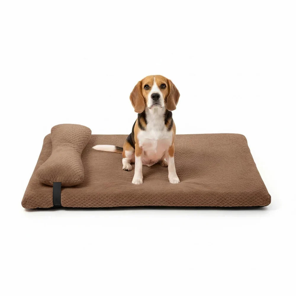 Cozy Dog Bed with Elevated Pillow and Easy-Clean Cover