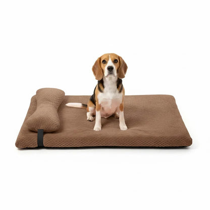 Cozy Dog Bed with Elevated Pillow and Easy-Clean Cover