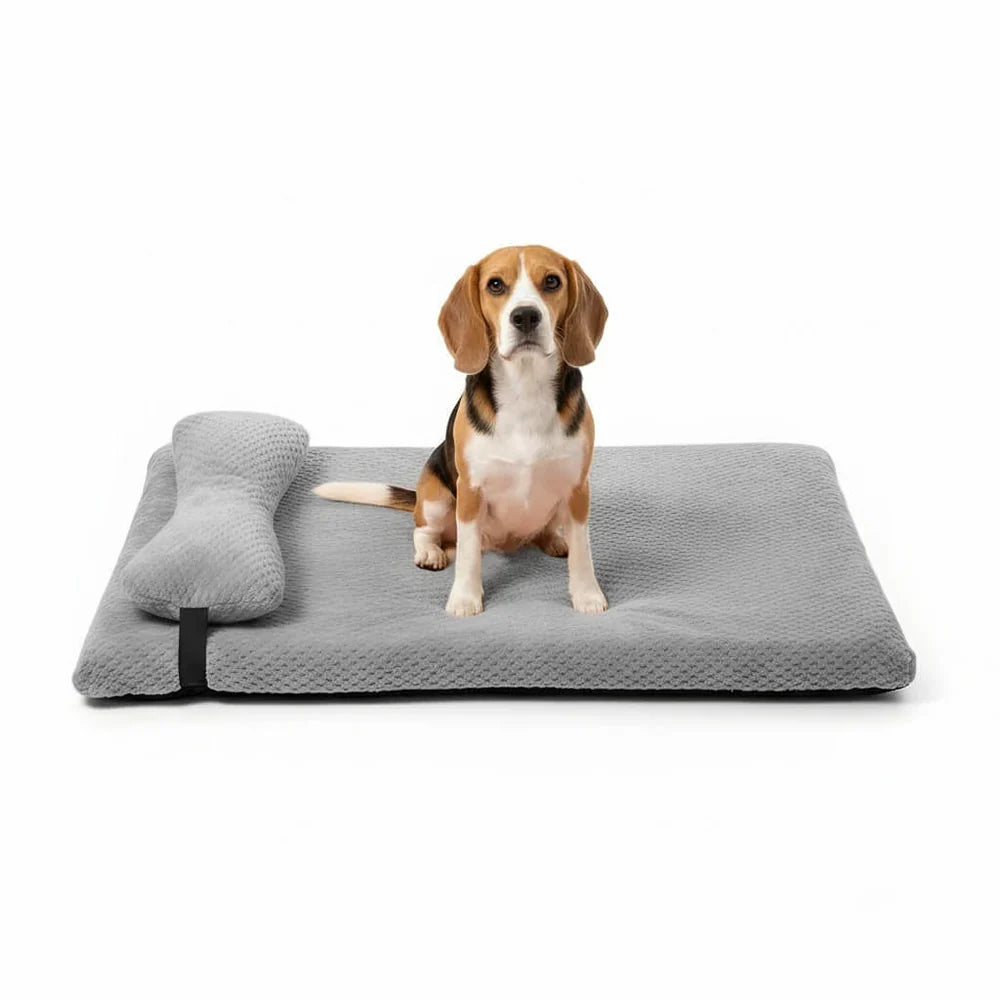 Cozy Dog Bed with Elevated Pillow and Easy-Clean Cover