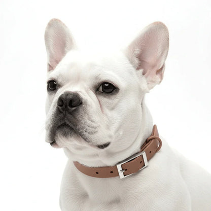 Custom Fit Dog Collar Made with Durable Materials