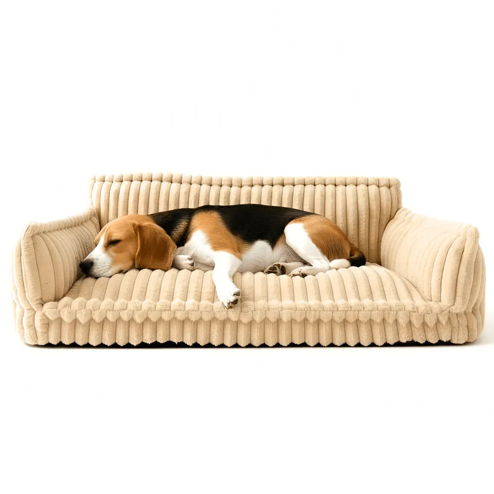 Cozy Pet Lounge Bed with Plush Cover and Easy-Clean Cushion