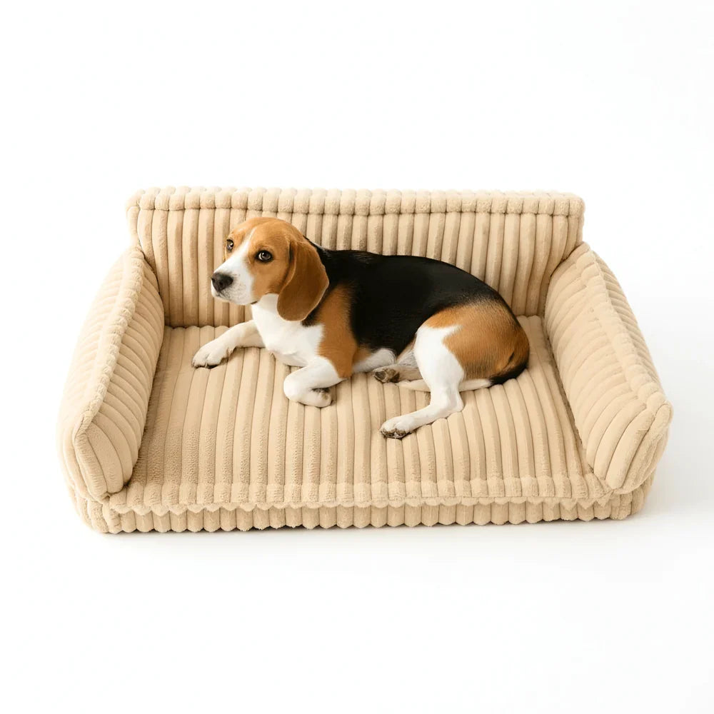 Cozy Pet Lounge Bed with Plush Cover and Easy-Clean Cushion