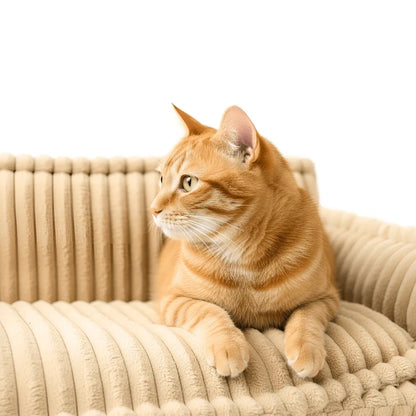 Cozy Pet Lounge Bed with Plush Cover and Easy-Clean Cushion