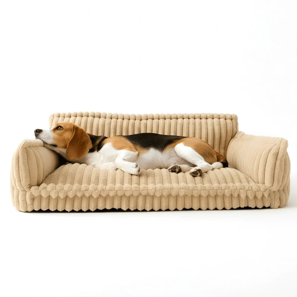 Cozy Pet Lounge Bed with Plush Cover and Easy-Clean Cushion
