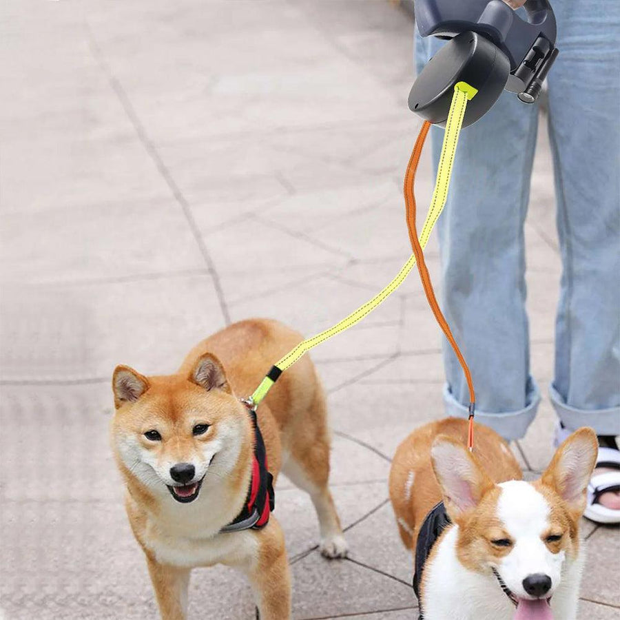 Double Leash Pro: Effortless Dual Dog Walking Solution