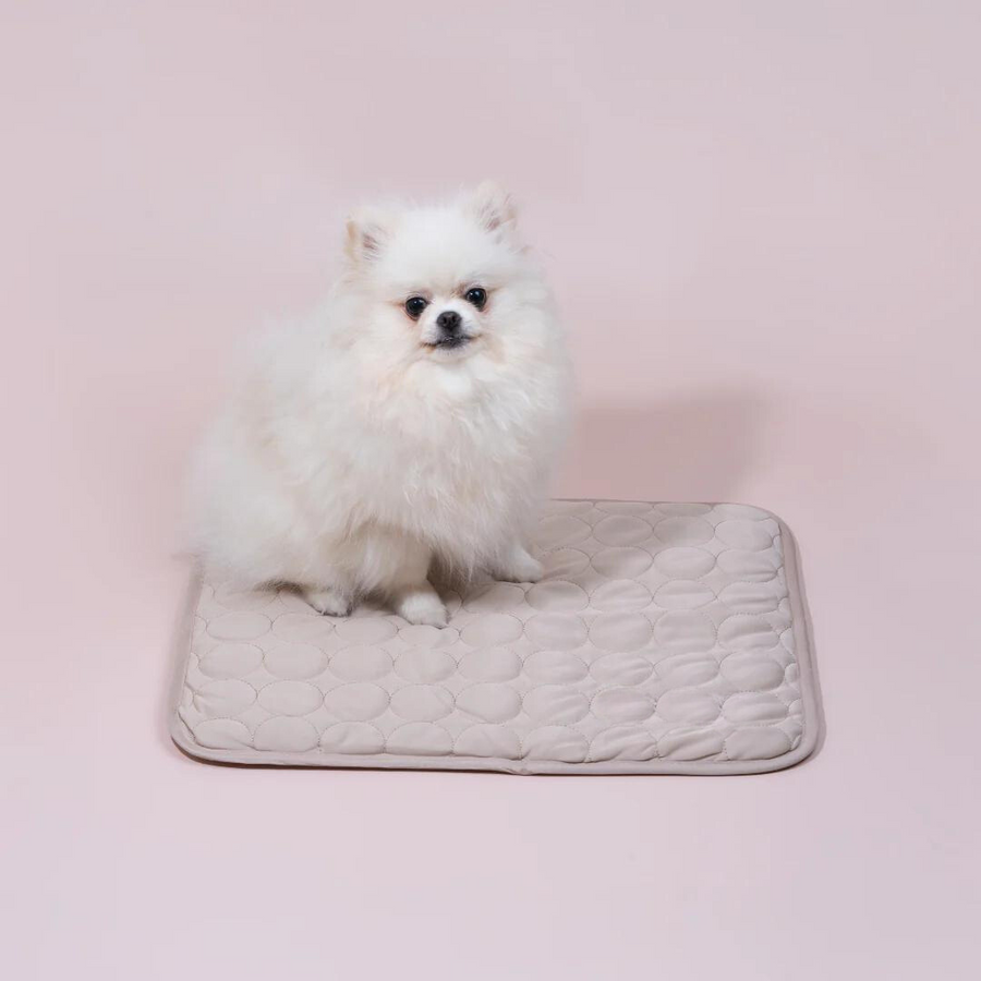 ChillPad for Dogs: Breathable Cooling Mat for Summer Relief